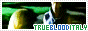 trueblood3