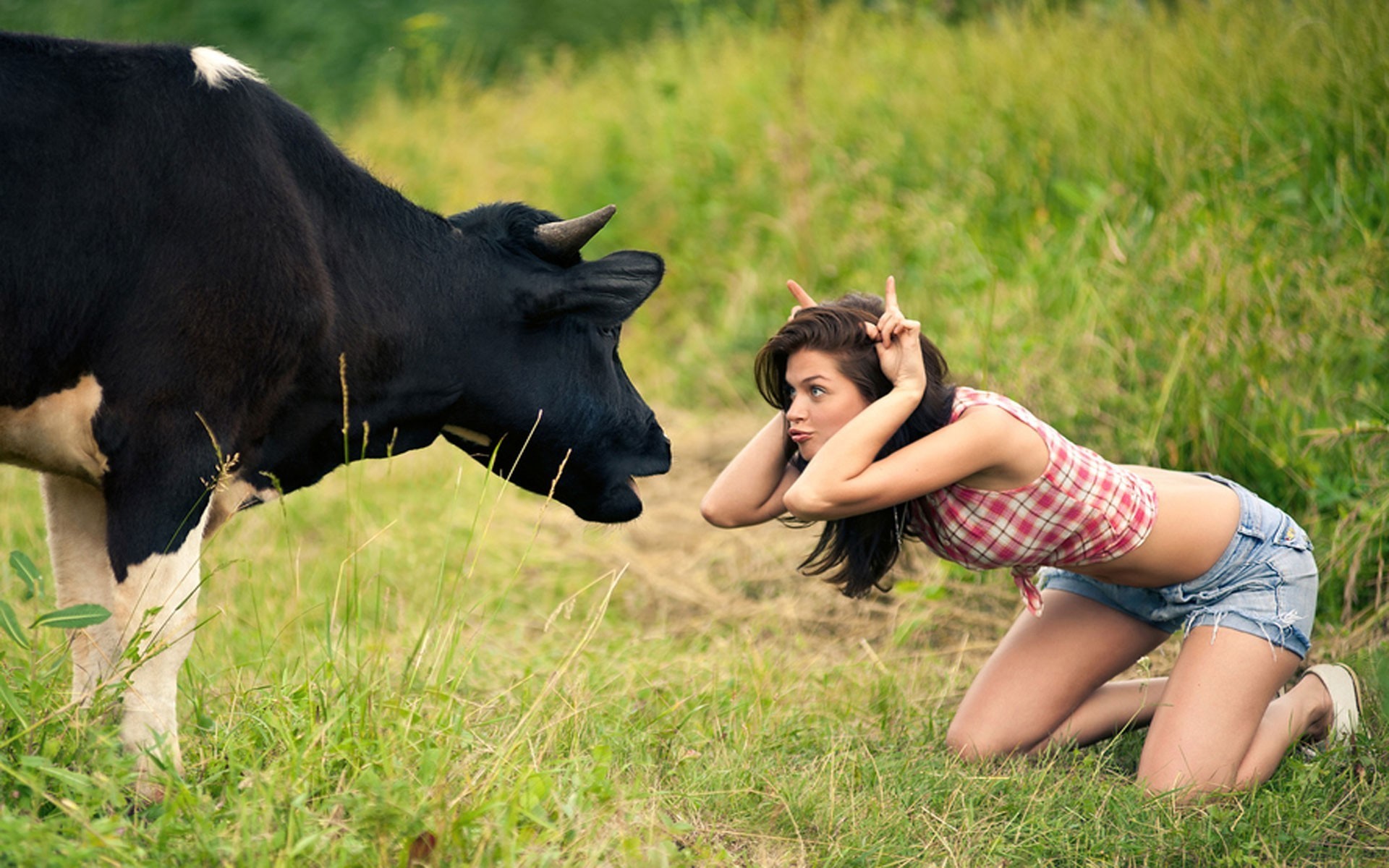 cow-and-girl.jpg