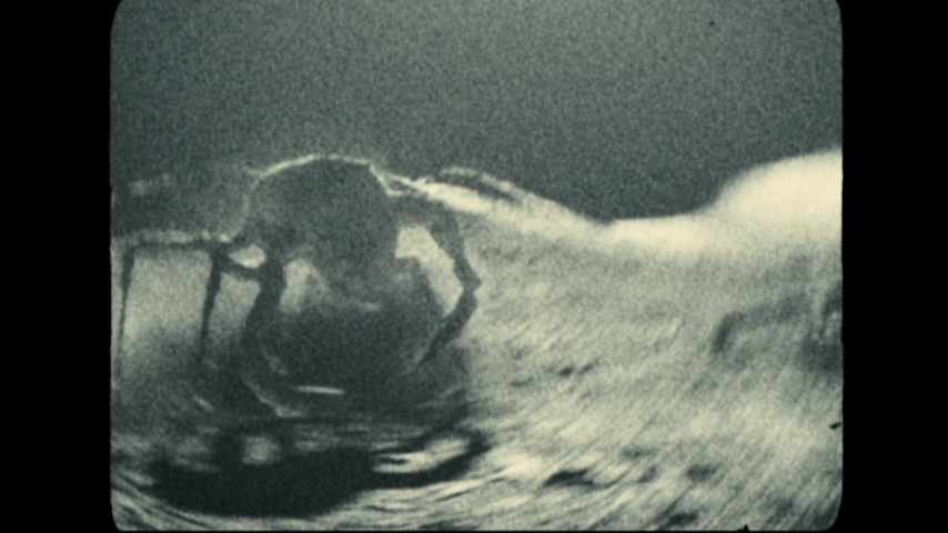 Apollo18bigcrab.jpg